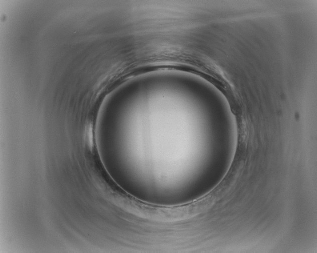 X0000073460027200608041104