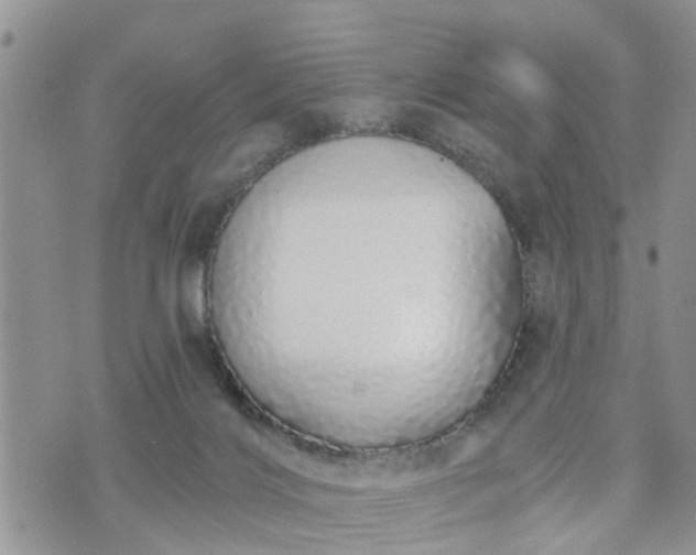 X0000073460028200608041104