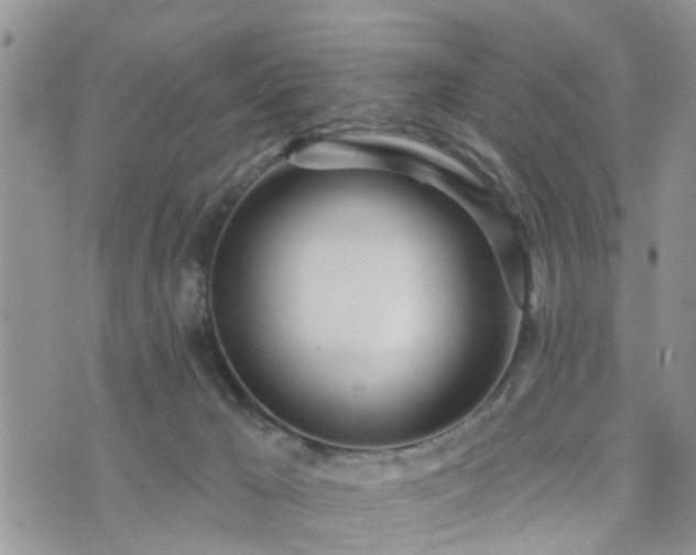 X0000073460029200608041104