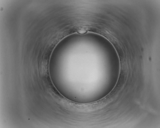 X0000073460030200608041104