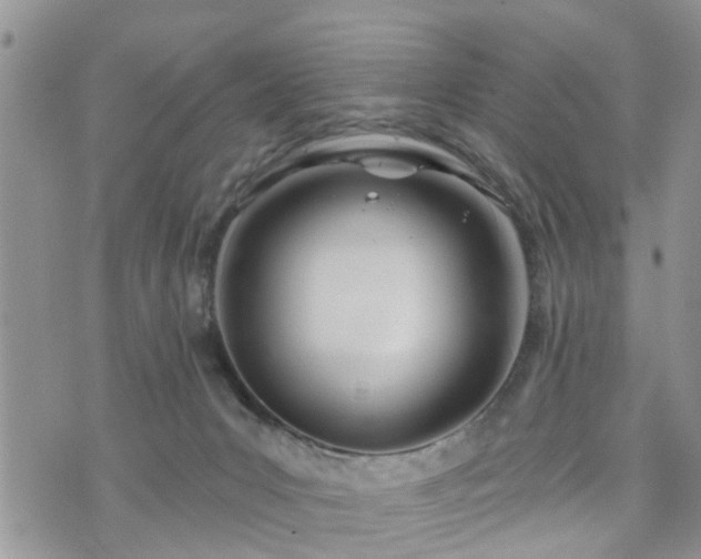 X0000073460031200608041104