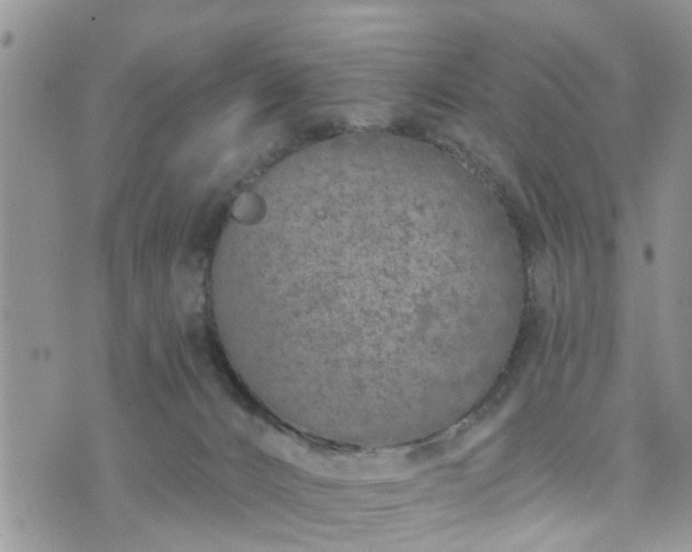 X0000073460032200608041104