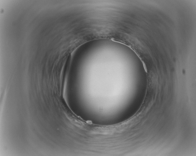 X0000073460033200608041104