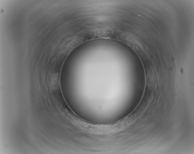 X0000073460034200608041104