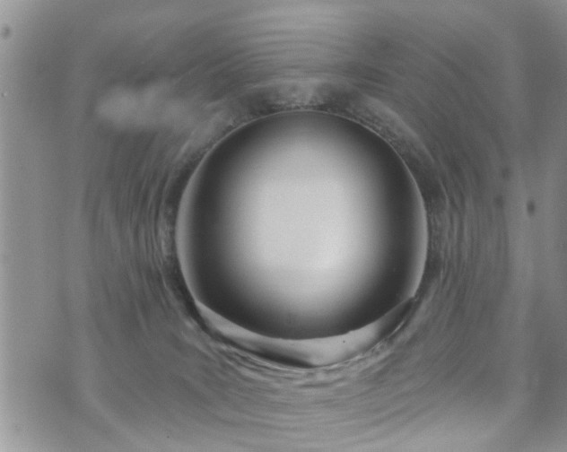 X0000073460035200608041104