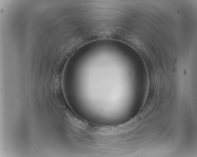 X0000073460037200608041104