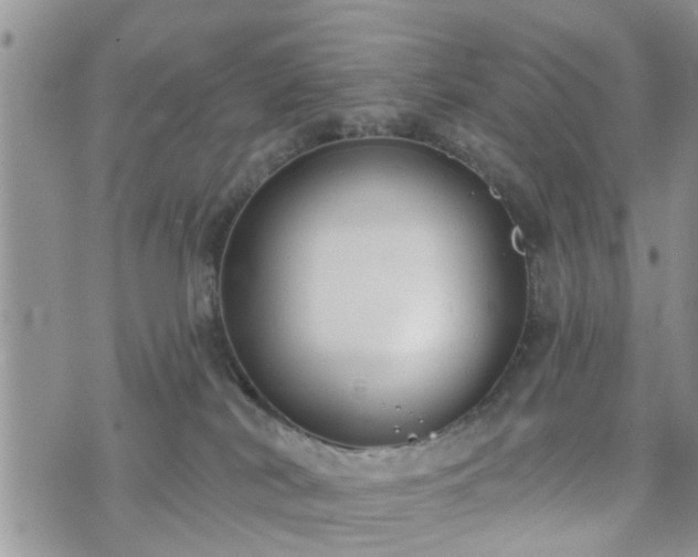 X0000073460038200608041104