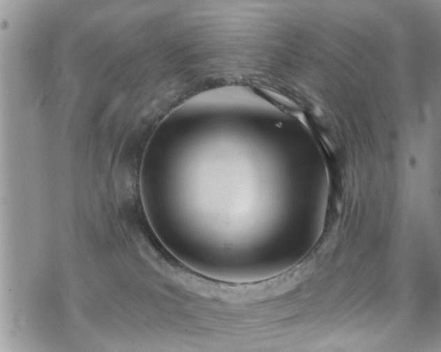 X0000073460039200608041104