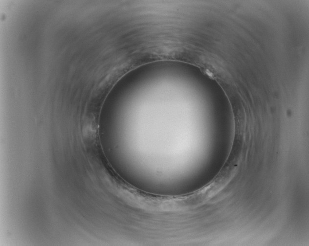 X0000073460040200608041104