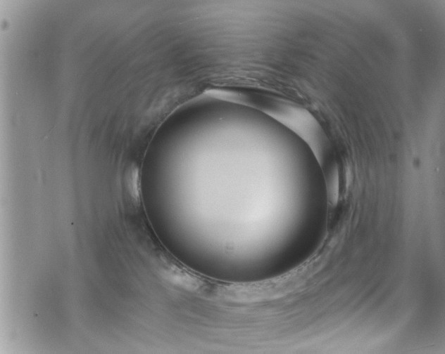 X0000073460041200608041104