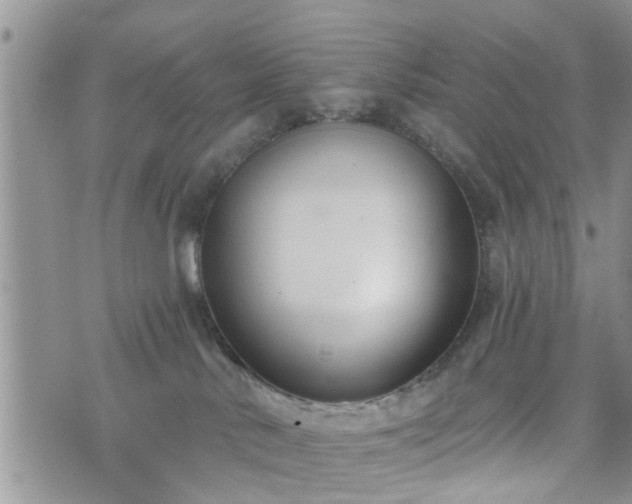 X0000073460042200608041104