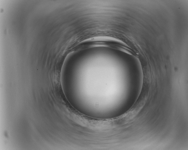 X0000073460044200608041104