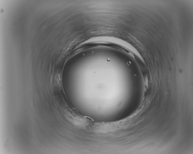 X0000073460045200608041103