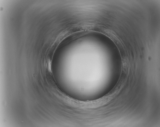 X0000073460046200608041103