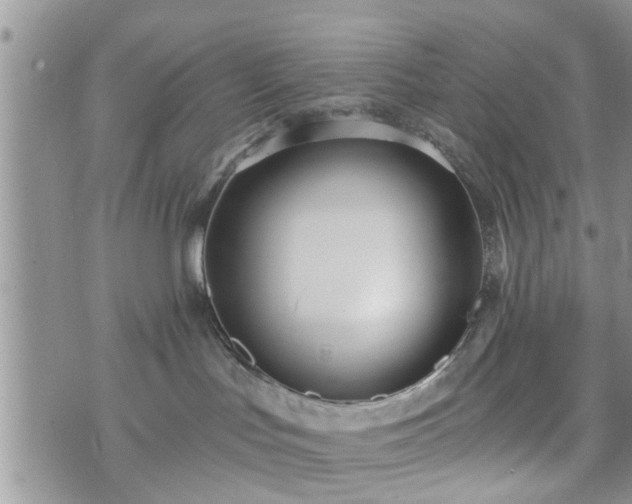 X0000073460047200608041103