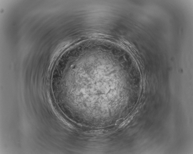 X0000073460049200608041103