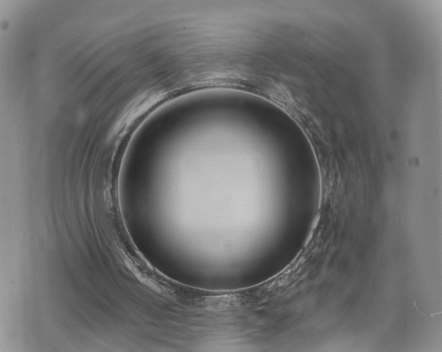 X0000073460050200608041103