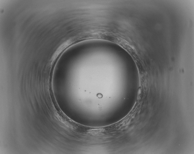 X0000073460051200608041103