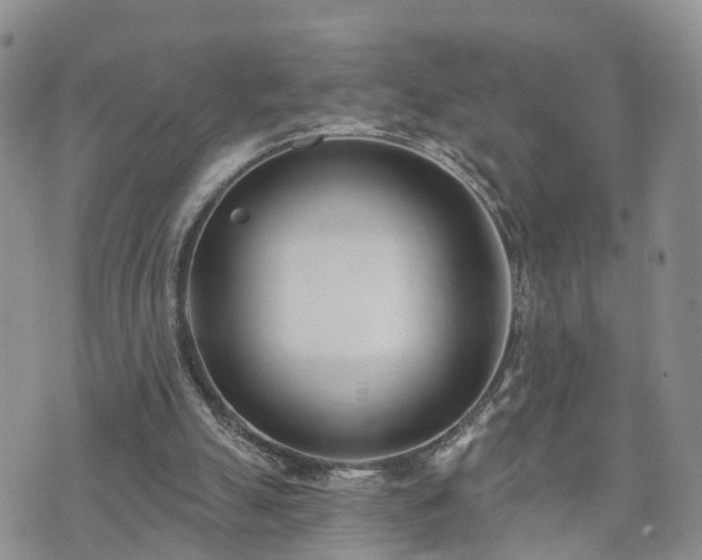 X0000073460055200608041103