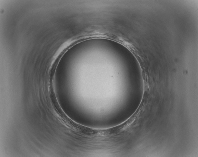 X0000073460056200608041103