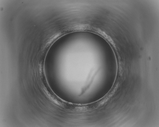 X0000073460057200608041103