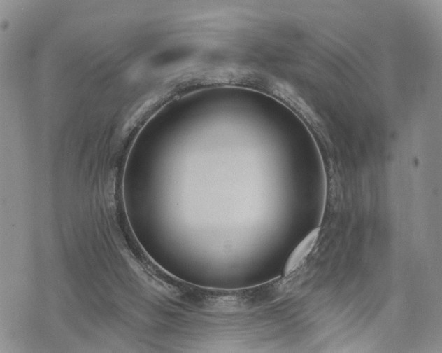 X0000073460058200608041103