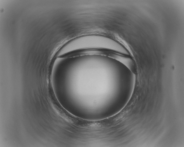 X0000073460059200608041103