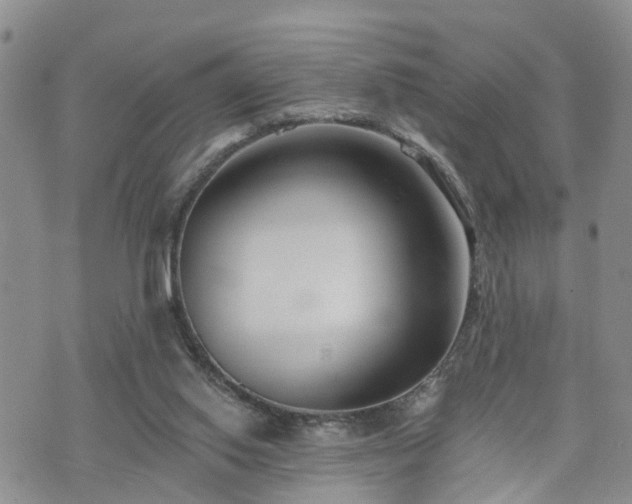 X0000073460062200608041103