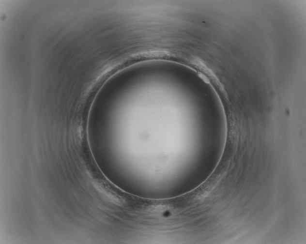 X0000073460063200608041103