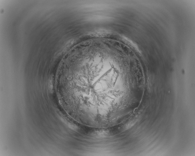 X0000073460065200608041103