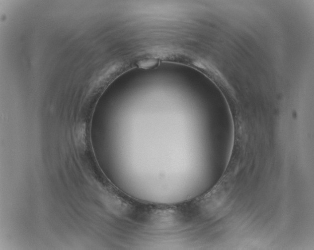 X0000073460066200608041103