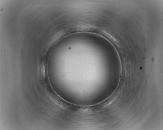 X0000073460067200608041103