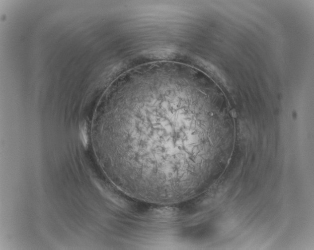 X0000073460069200608041103