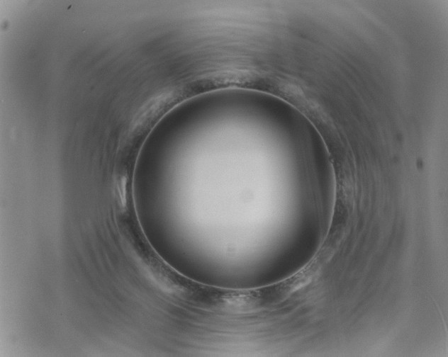 X0000073460070200608041103