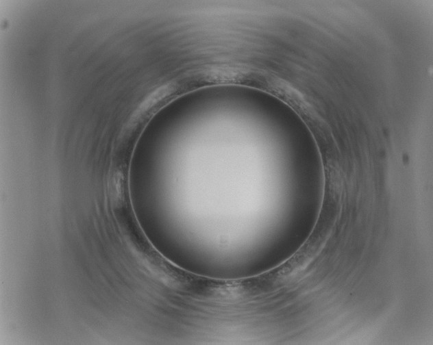 X0000073460071200608041103