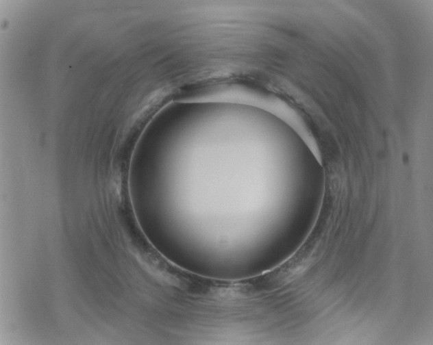 X0000073460072200608041103