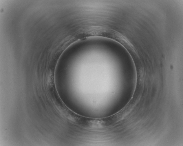 X0000073460073200608041103