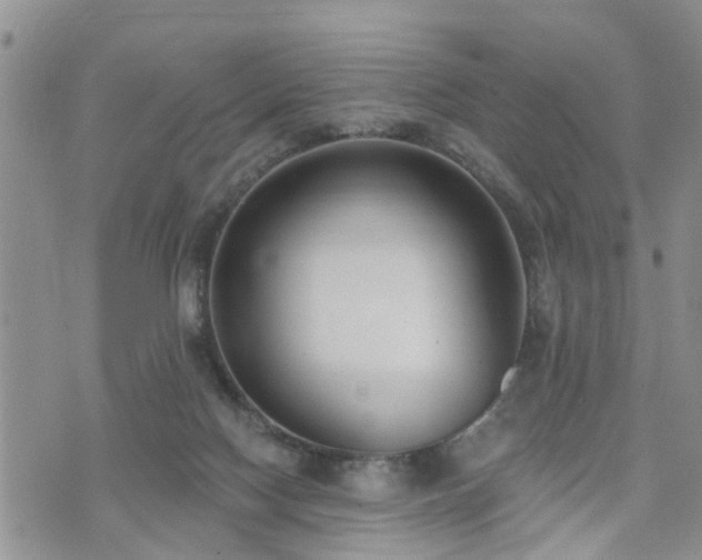 X0000073460074200608041103