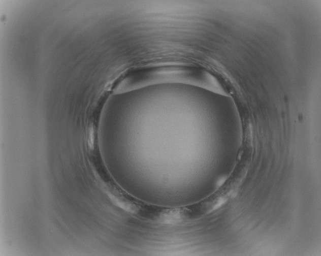 X0000073460076200608041103