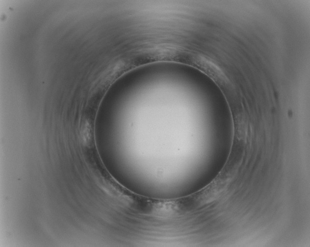 X0000073460077200608041103