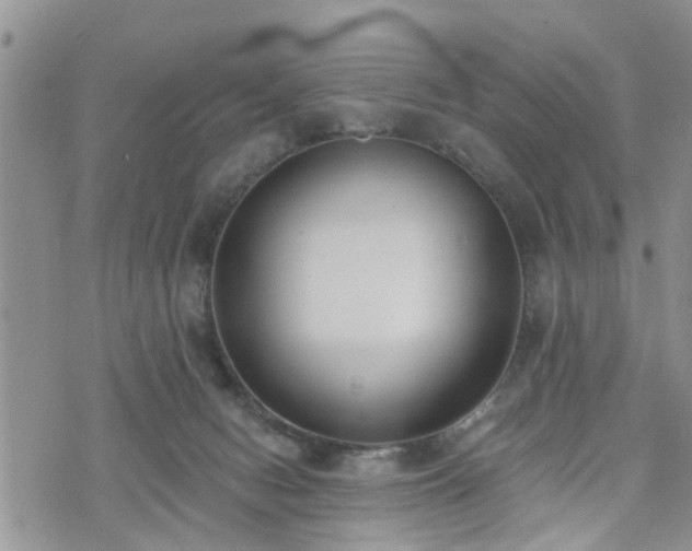 X0000073460078200608041103