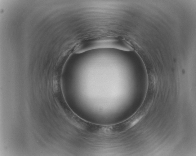 X0000073460080200608041103