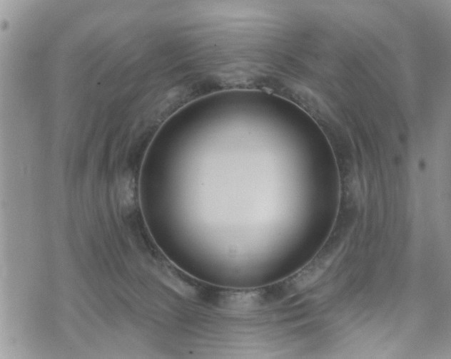 X0000073460081200608041103