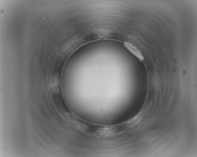 X0000073460082200608041103