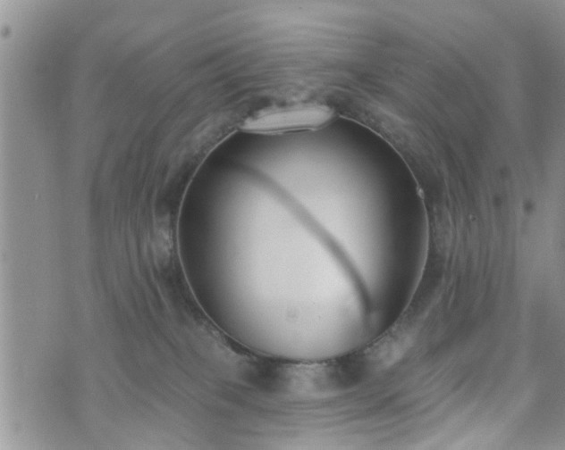 X0000073460085200608041103