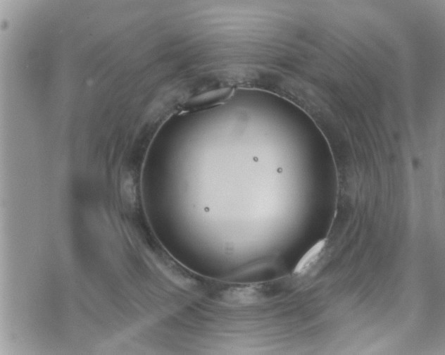 X0000073460086200608041103