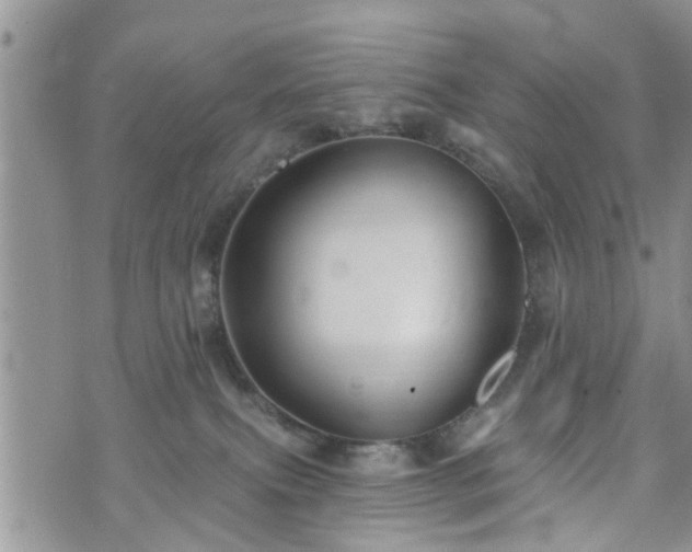 X0000073460087200608041103