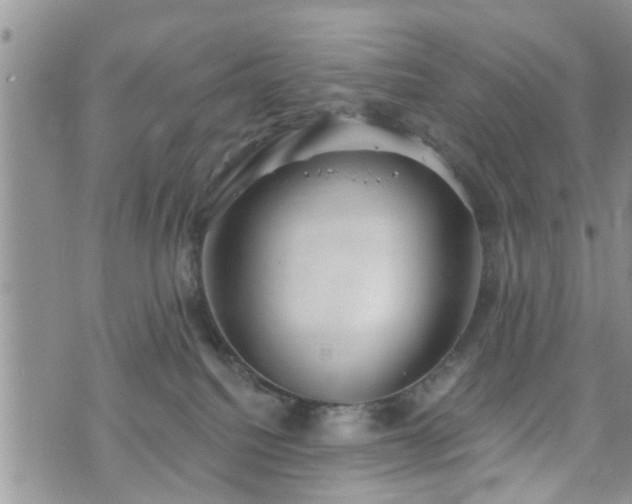 X0000073460088200608041103