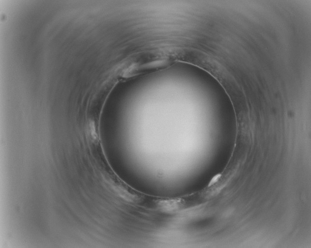 X0000073460089200608041103