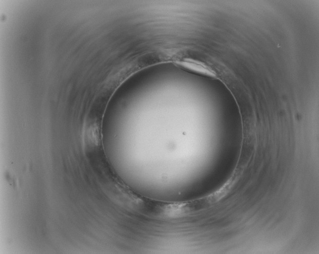 X0000073460090200608041103